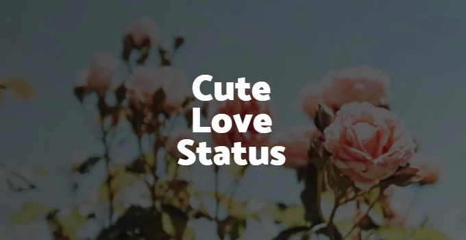cute love status in hindi