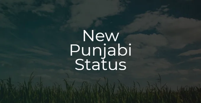 new punjabi status